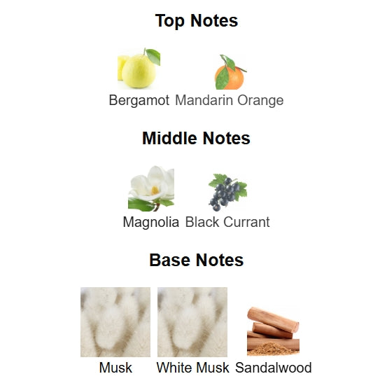 Musk is Great Zimaya